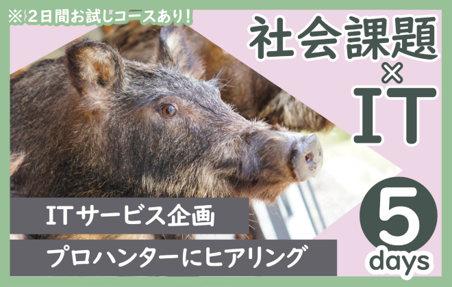 インターンシップ画像1